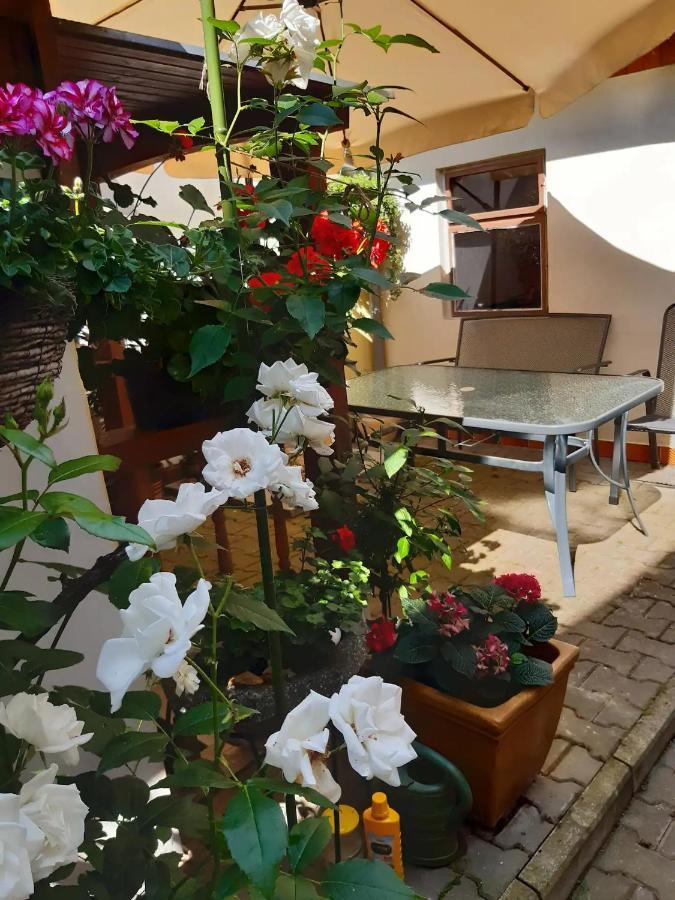 Appartamento U Pani Malirky Valtice Esterno foto