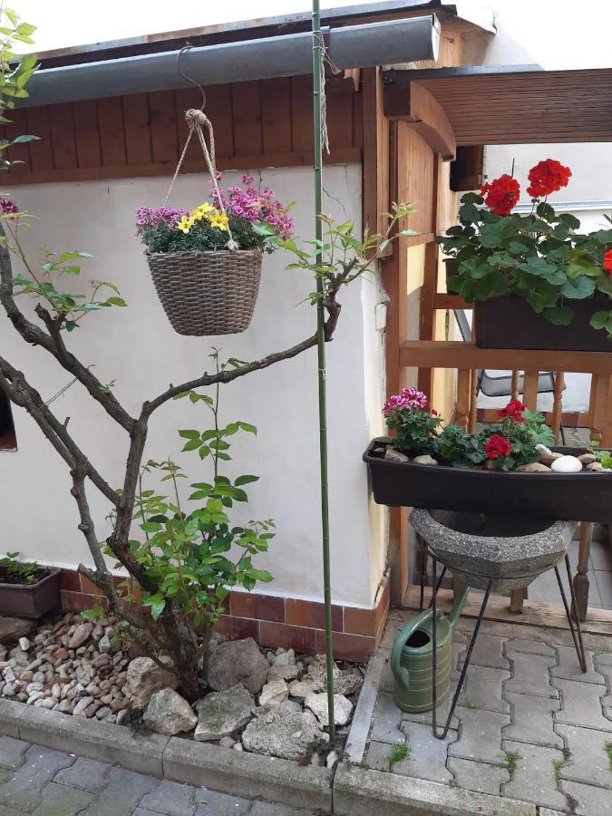 Appartamento U Pani Malirky Valtice Esterno foto